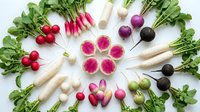 Fresh colorful radish varieties arranged in circular pattern on white background. Organic root vegetables including white, pink, purple and black radishes with green tops.