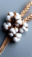 Natural cotton bolls and golden wheat ears arranged on gray background, creating rustic farmhouse composition for decor and design projects.