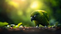 Green parrot with black beak foraging on forest floor, surrounded by lush foliage with soft bokeh background creating natural wildlife atmosphere.