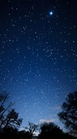 Starry night sky with bright stars scattered across deep blue space, silhouettes of bare tree branches frame the bottom of celestial view, creating dramatic natural composition.