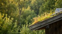 Living roof with moss and grass growing on wooden cabin structure surrounded by lush forest trees, showcasing sustainable green building and eco-friendly architecture design.