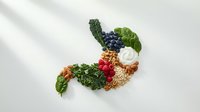 Stomach shape made of healthy foods including berries, nuts, greens, oats and yogurt on white background, gut health nutrition concept.