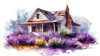 Rustic abandoned farmhouse surrounded by blooming lavender field in watercolor style, with weathered wood siding and brick chimney against misty forest background.