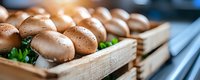 Fresh brown champignon mushrooms arranged in wooden crate with green herbs, water drops on caps create appetizing texture, raw organic produce for cooking.