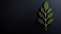 Green leaf branch with golden stem on dark background, isolated botanical element for design, branding, and eco-friendly projects.
