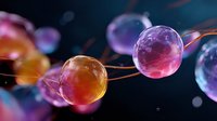 Colorful glowing spheres connected by thin lines floating in dark space, creating futuristic molecular or neural network visualization. Abstract science concept.