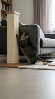 Tabby cat using scratching post in modern living room with gray sofa and natural light for pet care and furniture protection.