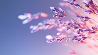 Delicate purple wildflowers against blue sky background in soft focus. Dreamy pink and violet tones create romantic spring or summer nature macro photography.