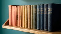 Row of vintage hardcover books arranged on wooden shelf against teal wall creating organized library display for home decor and reading collection.