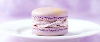 Purple lavender macaron with cream filling on white plate against soft blurred background for bakery dessert menu and culinary photography projects.