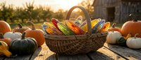 Autumn harvest basket filled with colorful corn cobs surrounded by pumpkins and gourds on rustic wooden table during golden hour sunset.