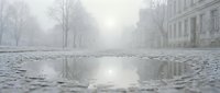 Misty urban street with puddle reflecting bare trees and historic buildings on foggy morning, suitable for atmospheric backgrounds and moody design projects.