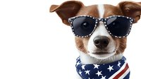 Patriotic Jack Russell terrier dog wearing polka dot sunglasses and American flag bandana against white background, isolated pet portrait for creative designs.