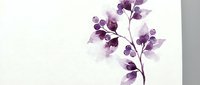 Watercolor purple floral branch with delicate leaves on clean white background for wedding invitations, greeting cards and botanical design projects.