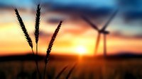 Silhouettes of wheat stalks against dramatic sunset sky with wind turbine in background, representing sustainable agriculture and renewable energy concept.