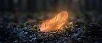Orange feather lying on dark soil with green moss sprouts in soft natural lighting creating peaceful nature scene for meditation and mindfulness concepts.