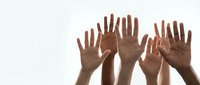 Diverse group of hands raised up in air showing unity, teamwork and volunteer spirit against clean white background for community projects.