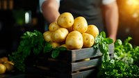 Fresh yellow potatoes in rustic wooden box with green herbs, warm sunlight in kitchen. Farm harvest vegetables for cooking healthy organic food.