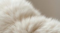 Soft cream-colored animal fur texture with natural patterns and flowing direction, perfect for luxury fashion backgrounds and cozy interior design concepts.