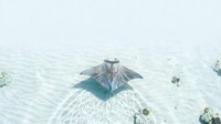 Majestic manta ray gliding gracefully over pristine white sandy ocean floor in crystal clear tropical waters, marine wildlife conservation concept.