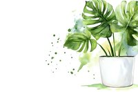 Watercolor monstera deliciosa plant with green tropical leaves in white ceramic pot, artistic botanical illustration with splashes and soft shadows.