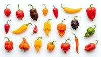 Colorful hot chili peppers collection arranged on white background. Variety of spicy pepper types in red, yellow, orange, green colors isolated.