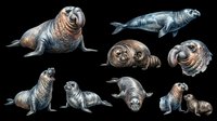 Seal and sea lion collection isolated on transparent background, ready for t-shirt design, clipart, stickers, print-on-demand products and sublimation projects.
