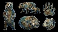 Watercolor grizzly bear sticker set isolated on transparent background, featuring standing, walking, sleeping bears, cub, paw print, and portrait for t-shirts, clipart, print on demand.
