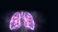 Glowing purple neon lungs with branching airways on dark background for medical education and respiratory health concepts.