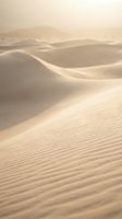 Soft golden sand dunes with rippled texture patterns in warm desert landscape during sunset light creating peaceful natural environment.