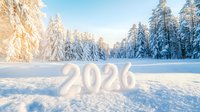 Glowing numbers 2026 in fresh snow against winter forest background with snow covered pine trees illuminated by warm sunlight creating magical atmosphere.