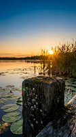 Weathered wooden dock post at sunset over tranquil lake with lily pads and reeds creating peaceful waterfront scene for nature and outdoor recreation themes.