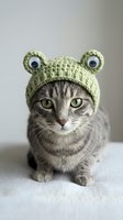 Adorable tabby cat wearing green knitted frog hat with googly eyes sitting on white fabric surface against neutral background for pet costume photography.