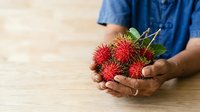 Farmer holding fresh rambutan fruits with green leaves on wooden table, agricultural harvest and tropical produce for food and agriculture industry use.