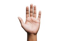 Open palm of light brown skin tone showing detailed lines and creases against white background, isolated for design and commercial use.