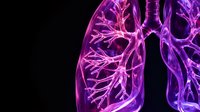 Human lungs anatomy with bronchial tree and alveoli in purple neon glow on black background for medical education and healthcare presentations.