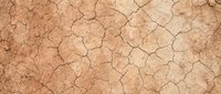 Cracked dry earth texture with natural fissures and weathered surface, suitable for backgrounds, environmental graphics, and drought-related design projects.