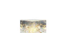 Warm golden string lights with delicate branches isolated on white background, ready for holiday design projects and seasonal marketing materials.