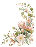 Delicate floral arrangement with pink protea, white hellebore and eucalyptus leaves in soft pastel colors on white background, isolated botanical corner design.