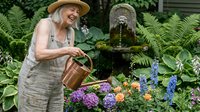 Senior Caucasian woman in straw hat watering colorful hydrangeas with copper can in lush garden with stone fountain and ferns for retirement lifestyle content.