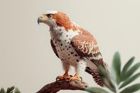 Majestic hawk perched on branch with spotted brown and white plumage, sharp curved beak, and powerful talons against soft neutral background with green foliage.