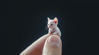 Adorable miniature white kitten sitting on fingertip against dark background, fantasy concept of tiny pet, digital art illustration for children's books and fairy tales.