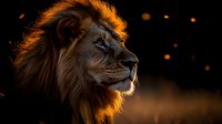 Majestic male lion profile against dark background with glowing rim light highlighting mane, dramatic wildlife portrait with bokeh light effects in background.