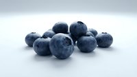 Fresh blueberries isolated on white background, perfect for food and beverage design, healthy eating, nutrition, and culinary projects.