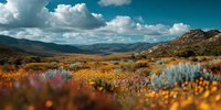 Autumn mountain landscape with colorful wildflowers blooming across rolling hills under dramatic cloudy sky for nature and travel content.