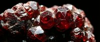 Deep red garnet crystals cluster formation showing natural mineral specimen with brilliant faceted surfaces and rich burgundy coloration on dark background.