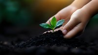Young plant seedling emerging from rich soil with gentle hand nurturing new growth against blurred natural background, representing growth, sustainability and care.