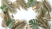 Tropical palm leaves and monstera foliage frame with dried elements on white background. Natural botanical border for summer design projects.