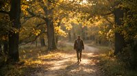 Person walking alone on autumn forest path with golden sunlight filtering through colorful fall foliage creating peaceful morning atmosphere.