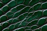 Dark green crocodile leather texture with diagonal pattern showing detailed scales, ridges and natural surface variations in macro photography.